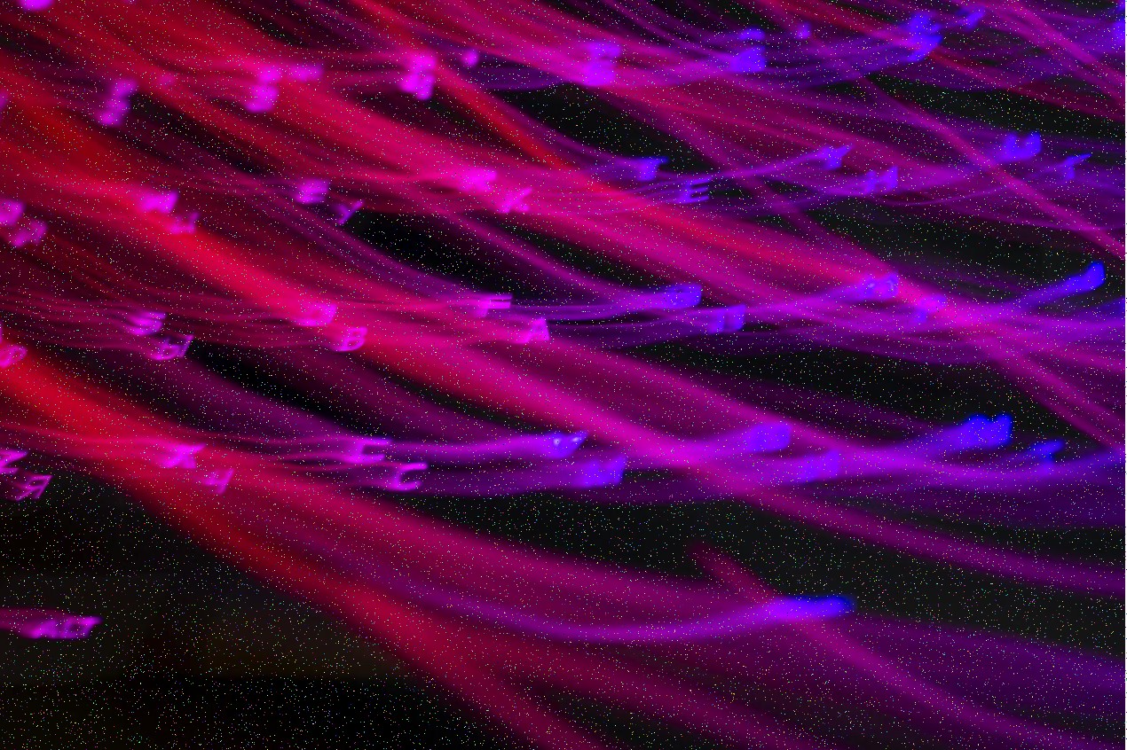 Fallstudie Fertigung